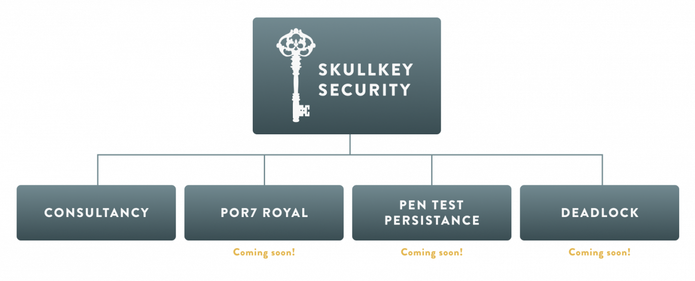 skullkey security company structure landscape